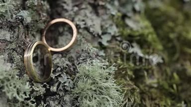 苔藓宏观特写黄金<strong>钻石珠宝</strong>中树皮上的结婚戒指